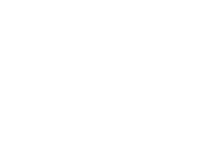 2008-USA-Film-Fest-Official-Selection